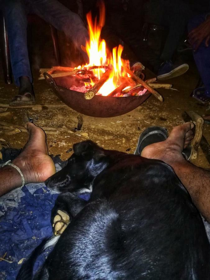 Eco Lodge Haputale-Camping Sri Lanka Exteriör bild