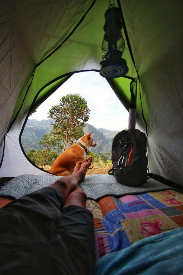 Eco Lodge Haputale-Camping Sri Lanka Exteriör bild