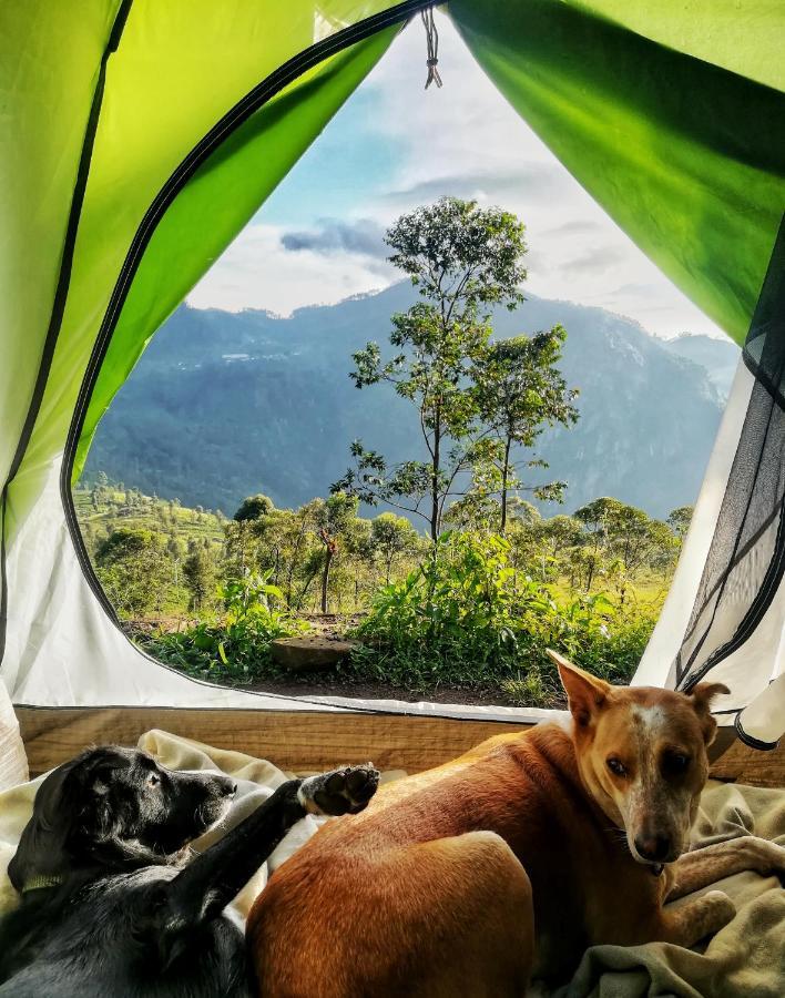 Eco Lodge Haputale-Camping Sri Lanka Exteriör bild